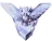 Player rank